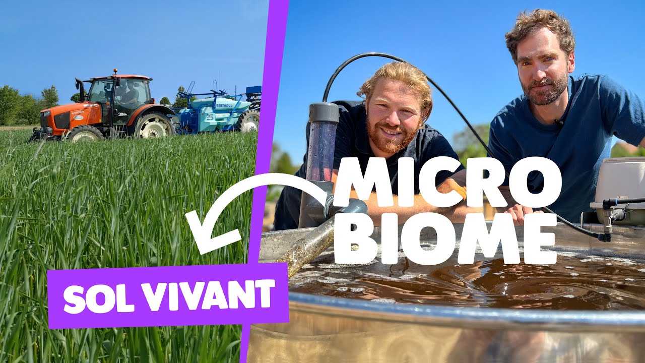 Sol vivant : vers l'auto-fertilité en agriculture de conservation