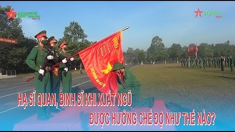 Hạ sĩ quan, binh sĩ khi xuất ngũ được hưởng chế độ như thế nào?