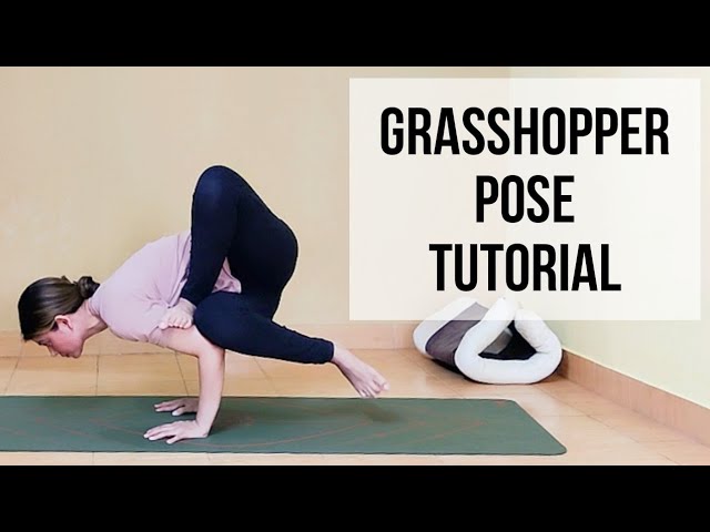Baby Grasshopper Flow with Heather - Vinyasa - Yoga Tree at Home On Demand  Online Classes