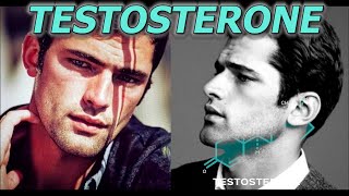 Why Some Men Look Masculine With Low Testosterone (Shocking Truth Revealed)