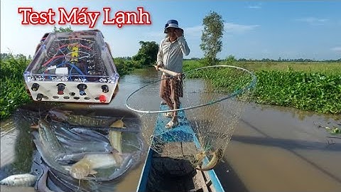 Test Máy 100b Trên Kênh Mùa Nước Ngập Chuyên Cá Da Trơn Có Bảo Hành 8 Tháng