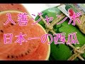 入善ジャンボ西瓜販売。富山県黒部スイカ通販で取寄。日本一の大きさ！お中元ギフトに果物を販売。nyuzen Janbo suika  Japanese watermelon