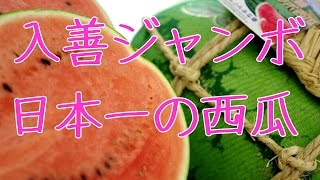 入善ジャンボ西瓜販売。富山県黒部スイカ通販で取寄。日本一の大きさ！お中元ギフトに果物を販売。nyuzen Janbo suika  Japanese watermelon