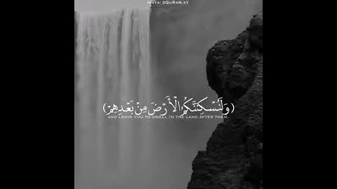 ما تيسر من سورة ابراهيم || للقارئ إسلام صبحي💜