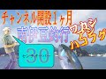 【南伊豆釣行】チャンネル開設1ヶ月記念で沼津から伊豆下田へGO投げ・投げサビキ釣り＆紀州釣り【Japan Fishing Rabbitfish HorseMackerel Yellowtail】