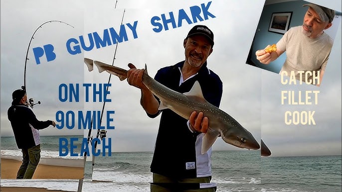 Cooking Fish: Skinning A Smoothound / Dogfish / Gummy Shark Ready For  Cooking And Eating - Youtube