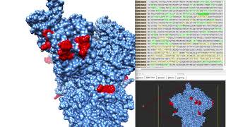 WPI Researcher Explains Key Structural Differences Emerging in the Novel Coronavirus (2019-nCoV) screenshot 3