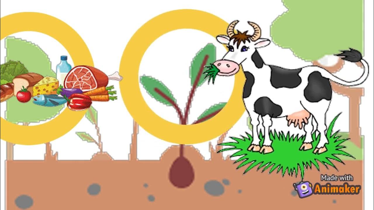 epollutants from ewaste YouTube