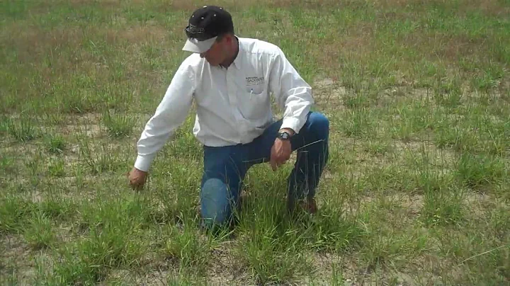 Should you reseed your pasture?