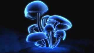 veronika perfekt - the darkness (Imee Ooi/morning psy remix)