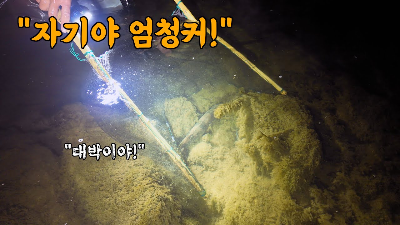 와이프가 다급하게 불러서 달려가봤더니! 대물이다! 오늘 계탔습니다!