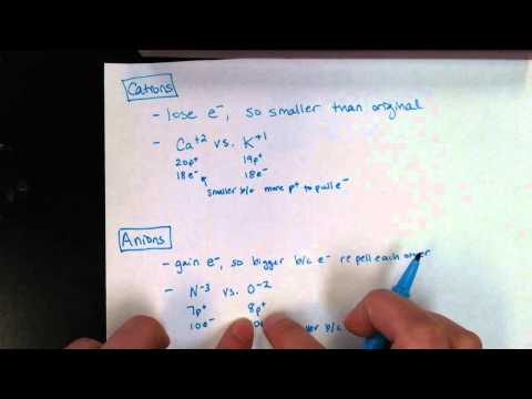 Trends Notes Part