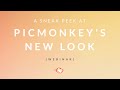 A Sneak Peek at PicMonkey&#39;s New Look