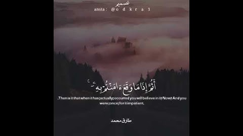 القارئ طارق محمد حالات واتس