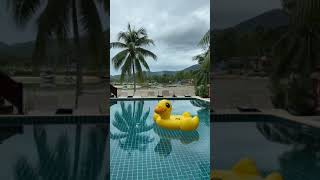 Duck Floater in the Pool