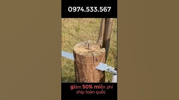 Cưa Gỗ, Cưa Cành Cầm Tay Cao Cấp 350mm