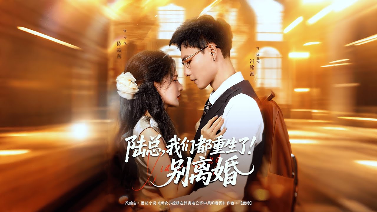 陆总我们都重生了别离婚：误杀夫后重生，岑挽爱心早餐追夫锤爆岑修