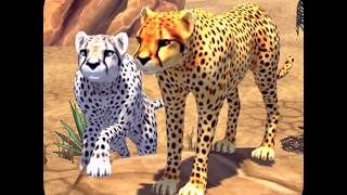 تحميل اللعبة الرائعه المحاكية للواقع Cheetah Family Sim مهكرة للاندرويد - اخر تحديث// نقود screenshot 2