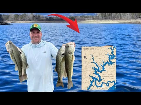 Bass Fishing On Norris Lake in Late May