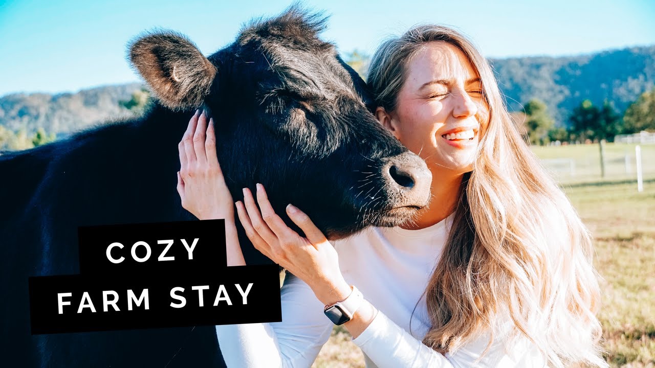 We stayed at a Farm Stay near BRISBANE! (Fig Tree Farm + Exploring