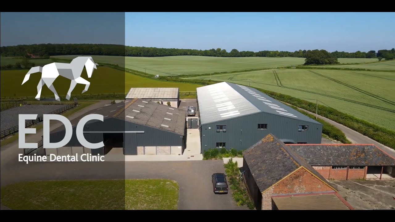 Our clinic a video snapshot of our new equine dental clinic youtube