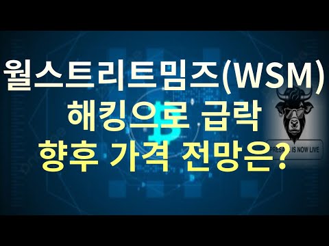   머스크 관련 밈코인 월스트리트밈즈 WSM 해킹 공격으로 급락세 향후 가격 전망은