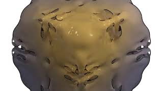 Gray-Scott gamma pattern 3D