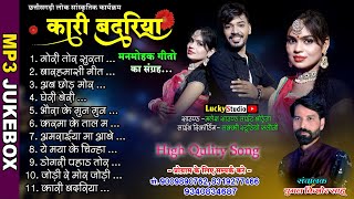 लोक कला मंच कारी बदरिया हिट्स | Kari badriya All Mp3 Song | Audio jukebox Cg Program | Lucky Studio