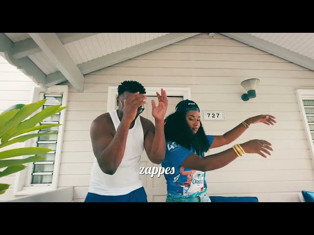 RIDDLA TU PASSES & TU ZAP ( visualiser )