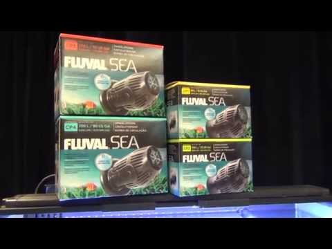 Fluval Sea CP-Series Circulation Pumps - YouTube