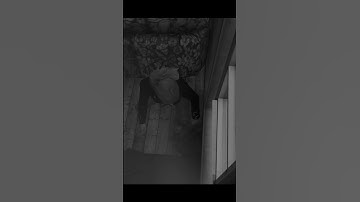 The moments as Lenny Large was dying | GTA 5 RP | NoPixel 3.0