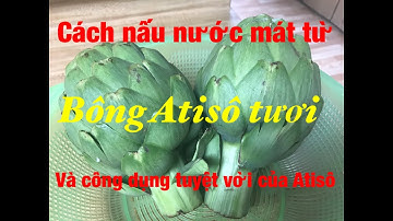 Cách nấu nước mát từ bông Atisô tươi và công dụng tuyệt vời của Atisô.