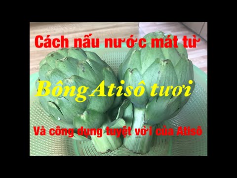 Video: Công Thức Nấu ăn Atisô