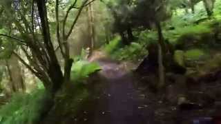 Haldon Red Trail ( Giant Talon 0 )