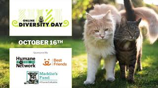 In Their Own Words | Inspire Unity | 2022 Online Diversity Day by Community Cats Podcast 11 views 2 weeks ago 1 hour, 5 minutes