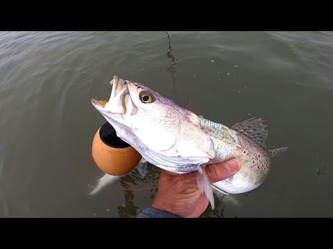 springtime speckled trout fishing