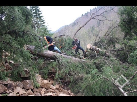 ხულოში მეწყერმა ორი თემის დამაკავშირებელი გზა ჩაკეტა