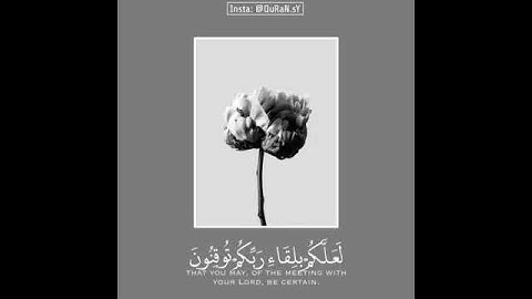 قرآن كريم بصوت هزاع البلوشي 🍃💙 أجمل حالات واتس اب دينية مقاطع دينية قصيرة مقاطع انستقرام دينية