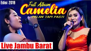 FULL ALBUM TER ENAK-CAMELIA PELAN TAPI PASTI 2019 LIVE JAMBU BARAT