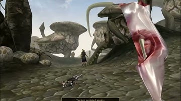My first Morrowind mod. Overpowered weapons kill everything! Exploding severed nord leg!