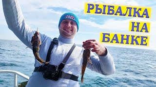 видео: Рыбалка на Черном море. Как поймать кнута| Снасти на кнута. Иван Кричкин картинка: Рыбалка на Черном море. Как поймать кнута| Снасти на кнута. Иван Кричкин
