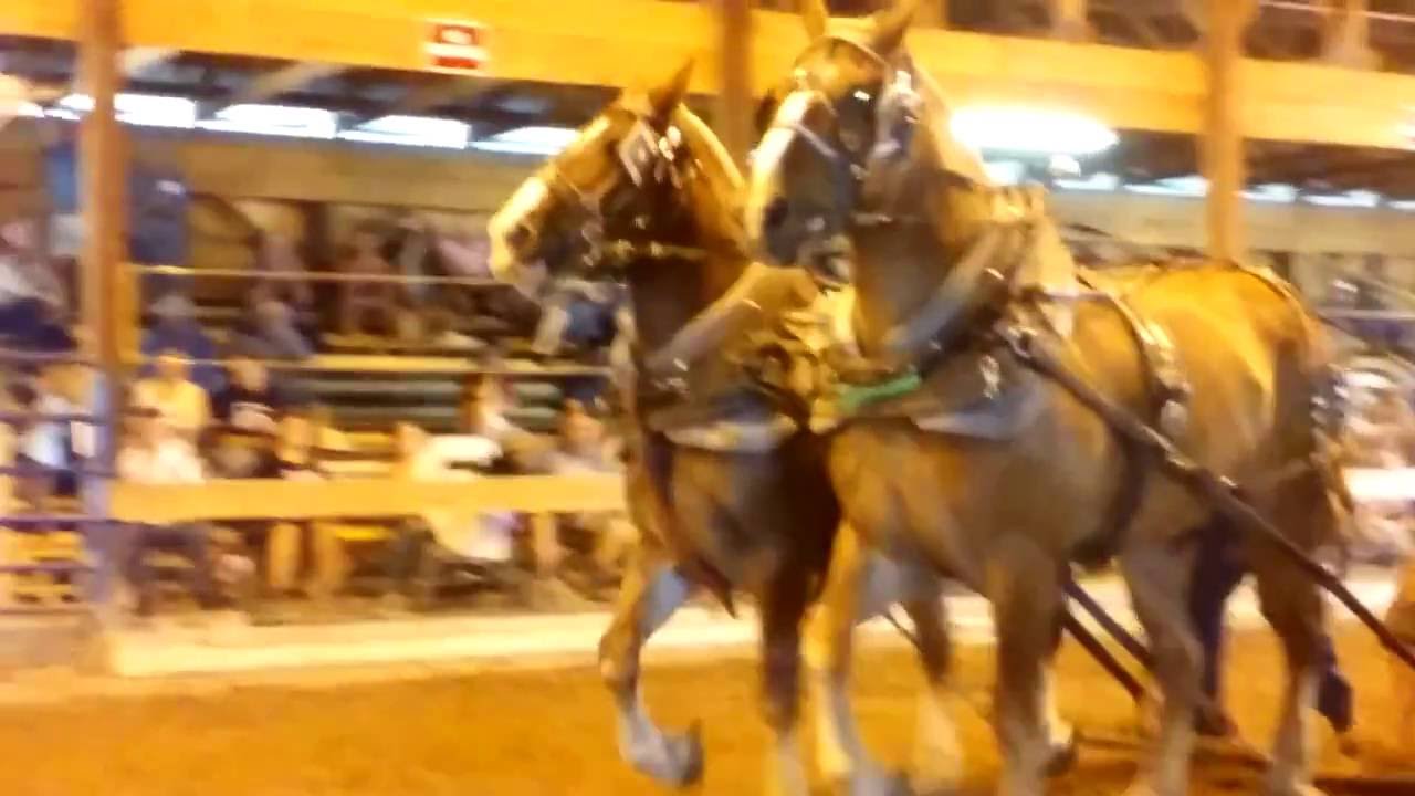 Draft Horse pulling, Hopkinton, NH ag fair, 8 thousand pounds YouTube