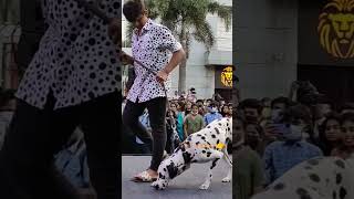 Chennai Dog Show 2022 Dalmatian #shorts #doglover