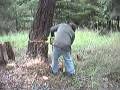 How NOT to cut down a rotten tree