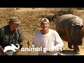 Eles acordam um hipopótamo e avistam rinocerontes | Wild Frank vs Darran | Animal Planet Brasil