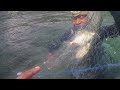 SEPERTI PANEN IKAN DI KOLAM ! MENJARING IKAN DI LAUT