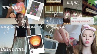 :    6  //VLOG //, ,    // p.s  