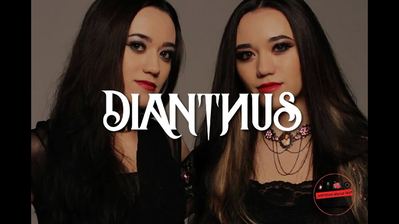 Dianthus- These Twins Can Rock  UnRated Magazine - Your Music