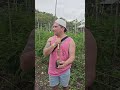 Rastaman Teach Chile Man The True Essence Of Ganja Jamaica Rastafari Chile Cannabiseducation Rastaman Teach Chile Man The True Essence Of Ganja Jamaica Rastafari Chile Cannabiseducation