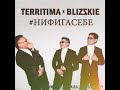 TERRITIMA x BLIZSKIE - Нифига себе (new 2021)